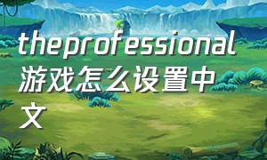 theprofessional游戏怎么设置中文