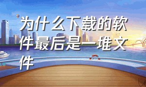 为什么下载的软件最后是一堆文件