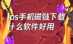 ios手机磁链下载什么软件好用