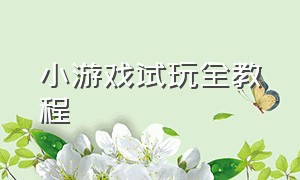 小游戏试玩全教程（小游戏试玩全自动挂机项目介绍）