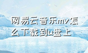 网易云音乐mv怎么下载到u盘上