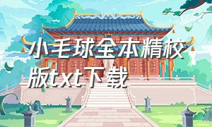 小毛球全本精校版txt下载