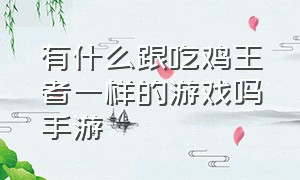 有什么跟吃鸡王者一样的游戏吗手游