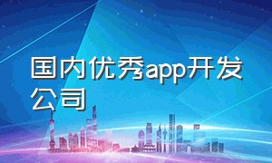 国内优秀app开发公司（中国app开发公司排行榜）