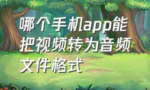 哪个手机app能把视频转为音频文件格式