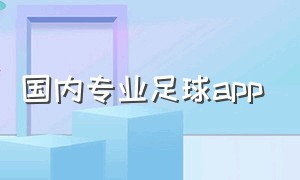 国内专业足球app