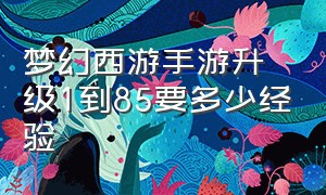 梦幻西游手游升级1到85要多少经验（梦幻西游手游63到65怎么快速升级）