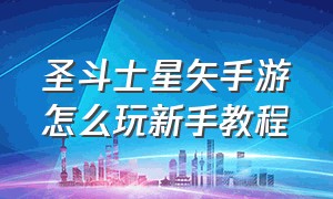 圣斗士星矢手游怎么玩新手教程（圣斗士星矢手游新手入门教学入口）