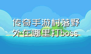 传奇手游村落野外在哪里打boss（传奇手游发布网新开服）