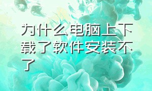 为什么电脑上下载了软件安装不了