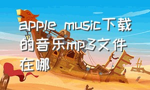 apple music下载的音乐mp3文件在哪
