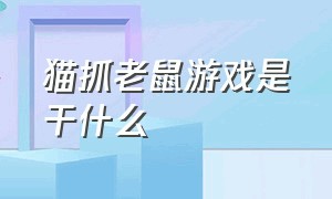 猫抓老鼠游戏是干什么