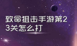 致命狙击手游第23关怎么打