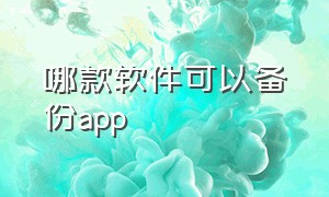 哪款软件可以备份app（手机app用什么软件备份）