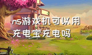 ns游戏机可以用充电宝充电吗