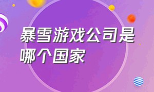 暴雪游戏公司是哪个国家