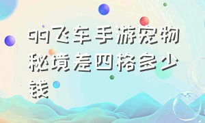 qq飞车手游宠物秘境差四格多少钱