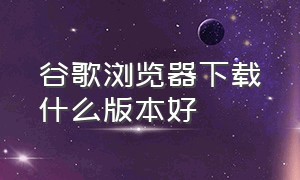 谷歌浏览器下载什么版本好