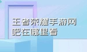 王者荣耀手游网吧在哪里看