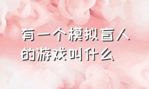 有一个模拟盲人的游戏叫什么