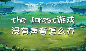 the forest游戏没有声音怎么办