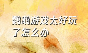 鹦鹉游戏太好玩了怎么办（给鹦鹉玩各种好玩的游戏）