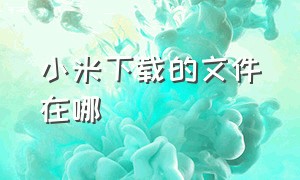 小米下载的文件在哪