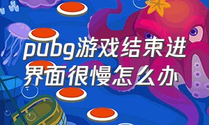 pubg游戏结束进界面很慢怎么办