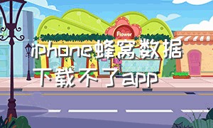 iphone蜂窝数据下载不了app