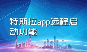 特斯拉app远程启动功能（特斯拉app远程解锁怎么解决）