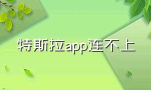 特斯拉app连不上（特斯拉app连不上网）