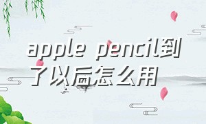 apple pencil到了以后怎么用（apple pencil找不到了能查找么）