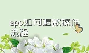 app如何退款操作流程