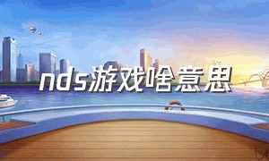 nds游戏啥意思