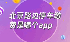 北京路边停车缴费是哪个app（北京路边停车缴费app下载官网）