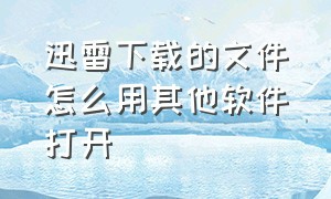 迅雷下载的文件怎么用其他软件打开（迅雷下载的文件怎么在手机打开）