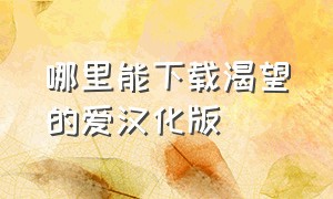 哪里能下载渴望的爱汉化版