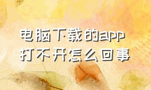 电脑下载的app 打不开怎么回事