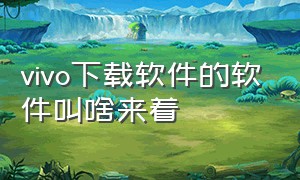 vivo下载软件的软件叫啥来着（vivo怎么在官网下载app）