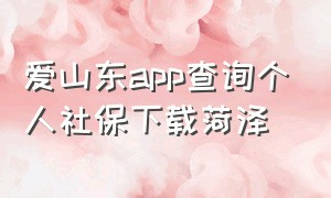 爱山东app查询个人社保下载菏泽