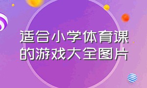 适合小学体育课的游戏大全图片