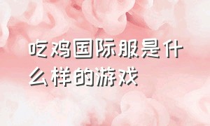 吃鸡国际服是什么样的游戏