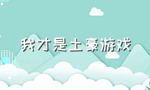 我才是土豪游戏