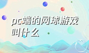 pc端的网球游戏叫什么