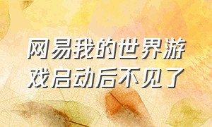 网易我的世界游戏启动后不见了