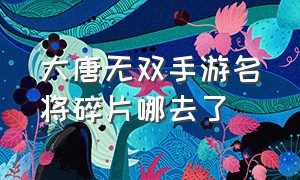 大唐无双手游名将碎片哪去了