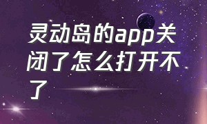 灵动岛的app关闭了怎么打开不了（灵动岛怎么不显示打开的app）