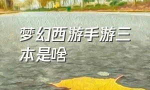 梦幻西游手游三本是啥