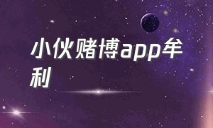 小伙赌博app牟利