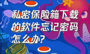 私密保险箱下载的软件忘记密码怎么办?（私密保险箱软件忘记密码怎么办）